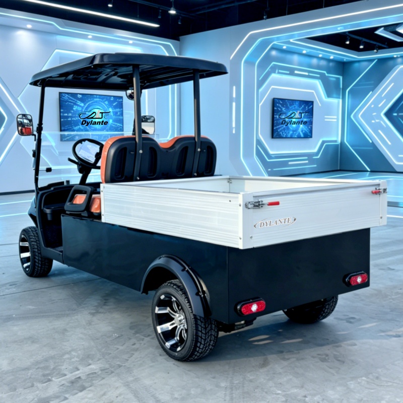 Outdoor Hunting Vehicle - Прямые поставки с завода: Электрический гольф-кар