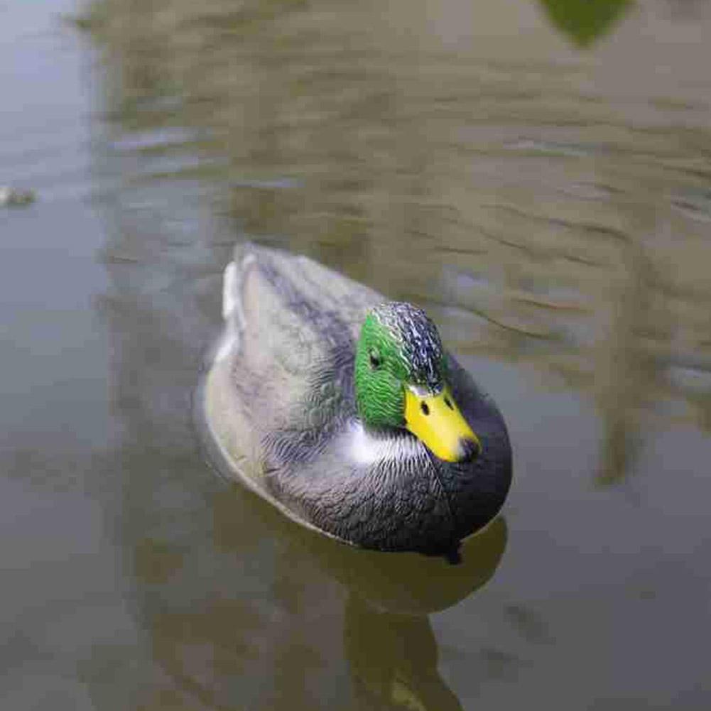 Плавающая имитация утки-приман – обзор и цена Decoy Duck Plastic