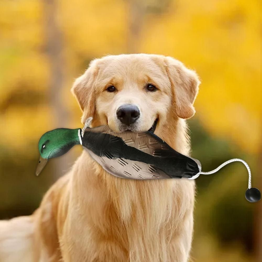 Приманка для кряквы, игрушки д – обзор и цена Decoy Duck Plastic