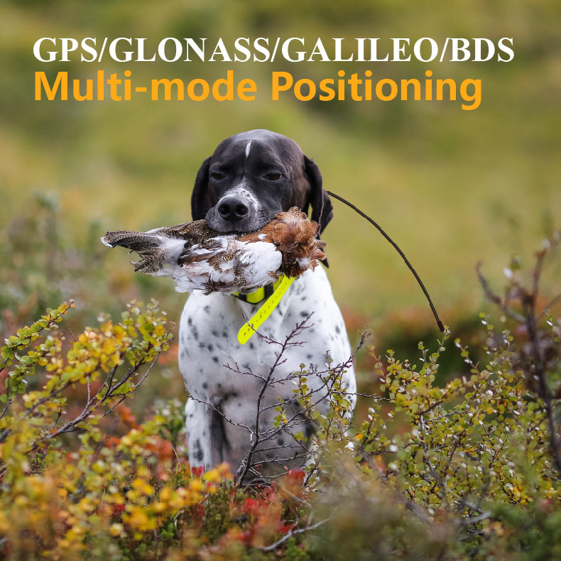 Глобальный GPS-трекер для живо – обзор и цена Outdoor Hunting Dog Supply